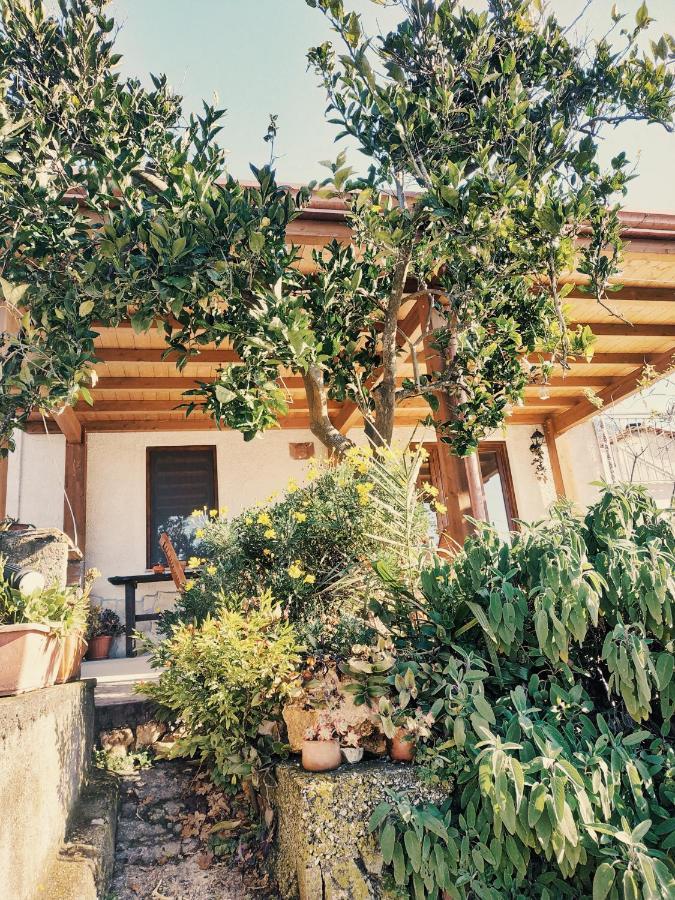 B&B Sud E Magia San Pietro Infine Exterior photo